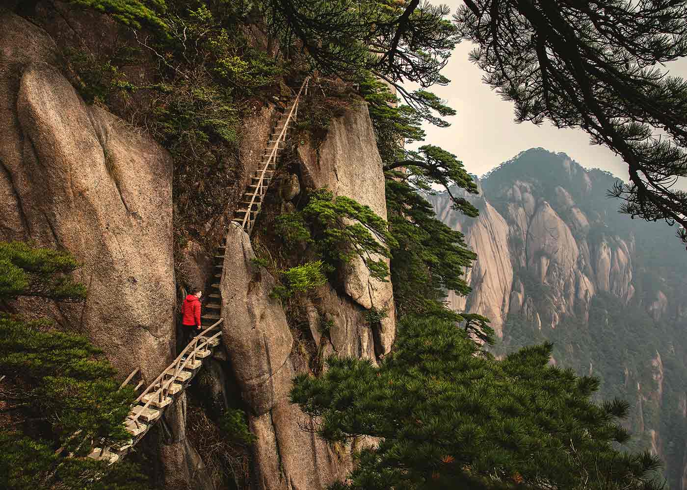 ladder
