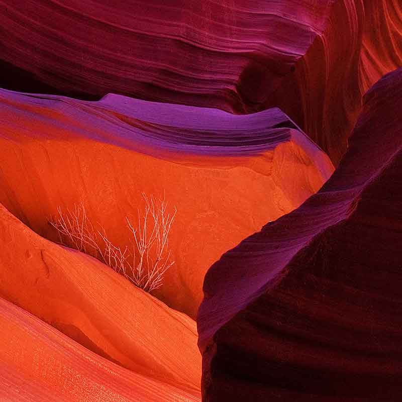 canyon