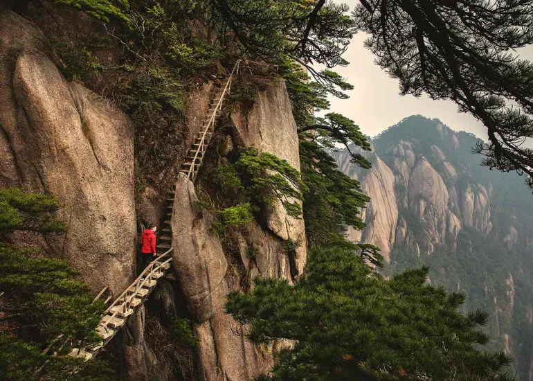 ladder